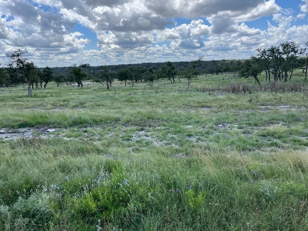 10.1 acres in Gillespie County - photo 12