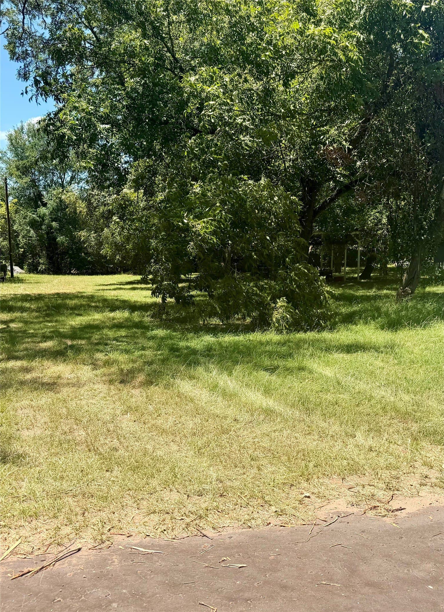 0.2 acres in Smith County - photo 2