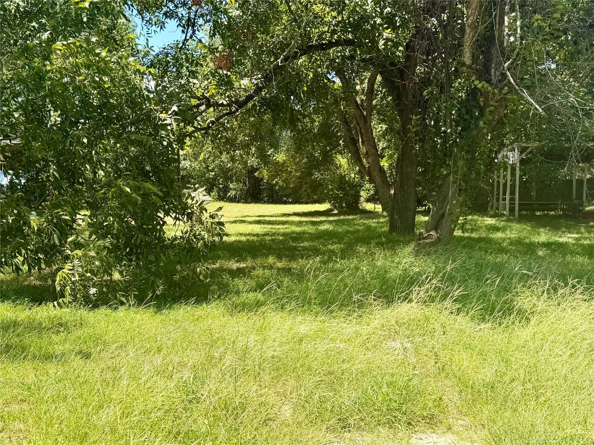 0.2 acres in Smith County - photo 5