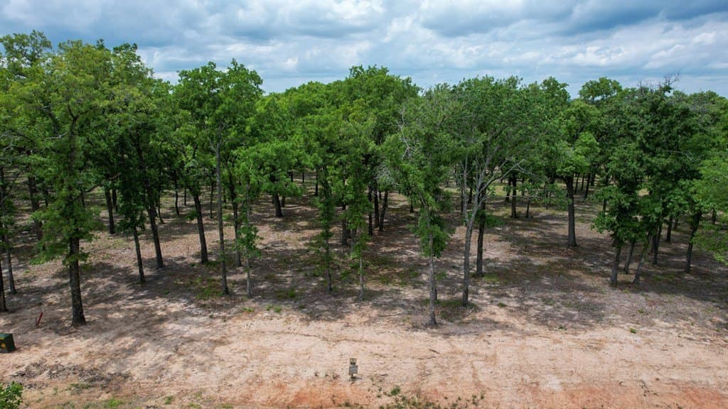 4.03 acres in Henderson County gallery image 3