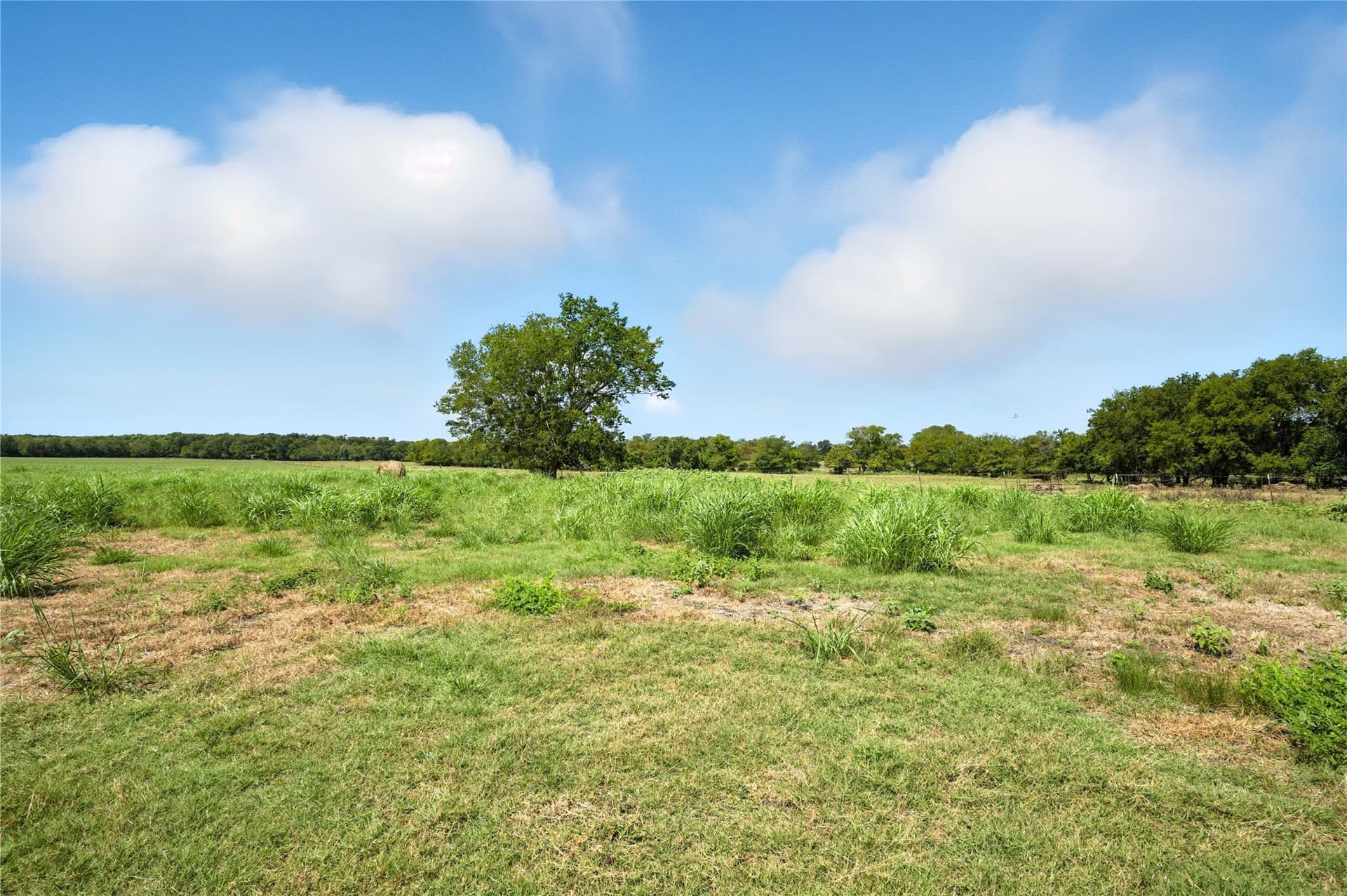 107.14 acres in Delta County - photo 26