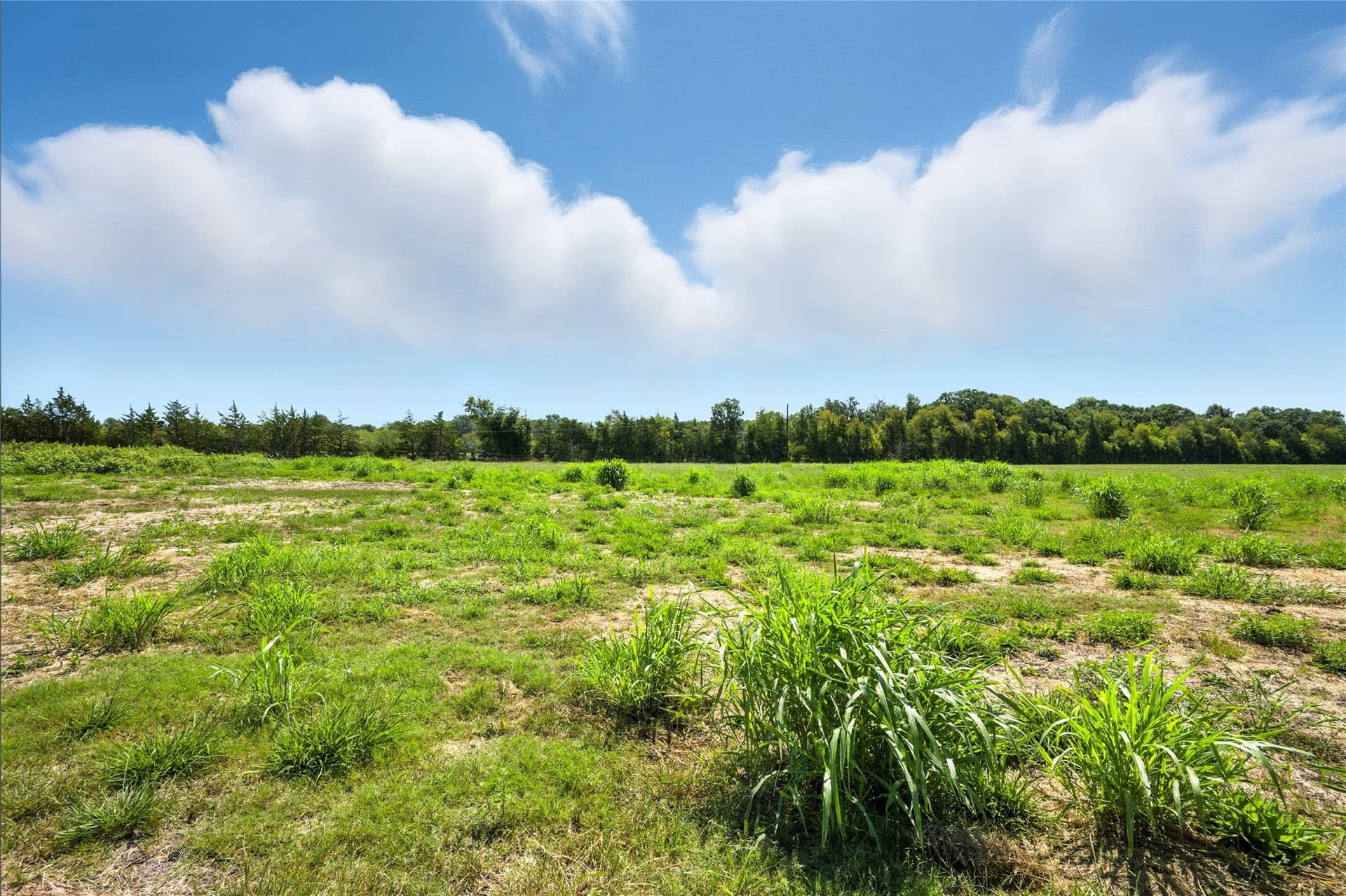 107.14 acres in Delta County - photo 27