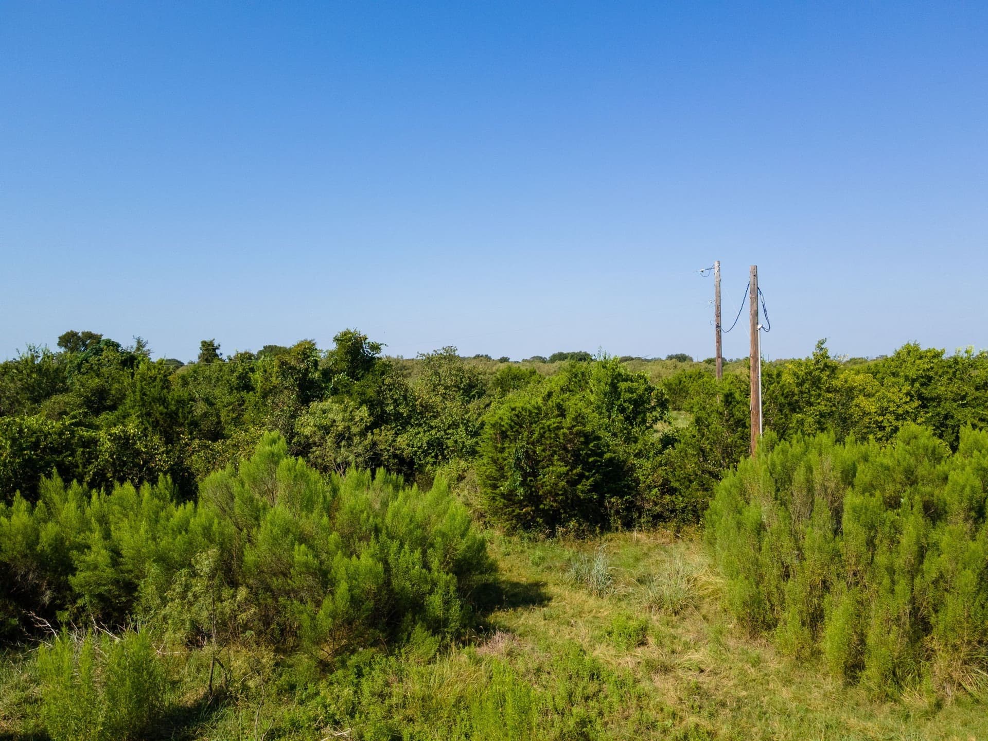 30.31 acres in Lampasas County - photo 6