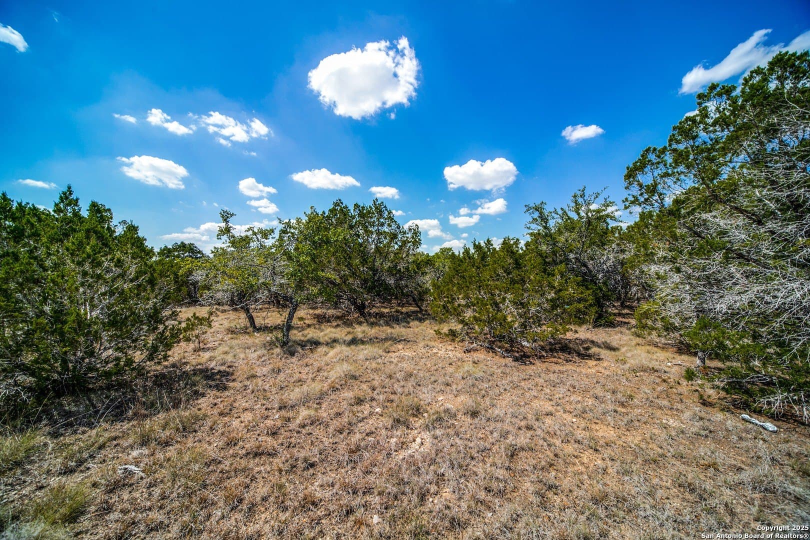 2.02 acres in Comal County featured view