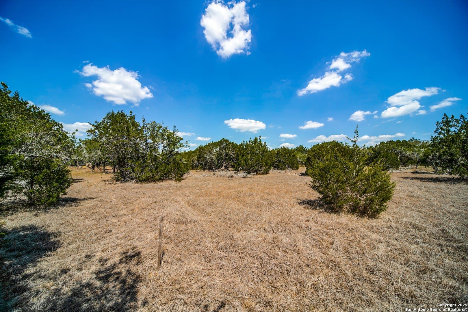 2.02 acres in Comal County gallery image 3