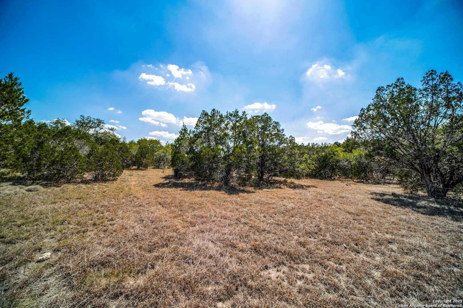 2.02 acres in Comal County gallery image 2
