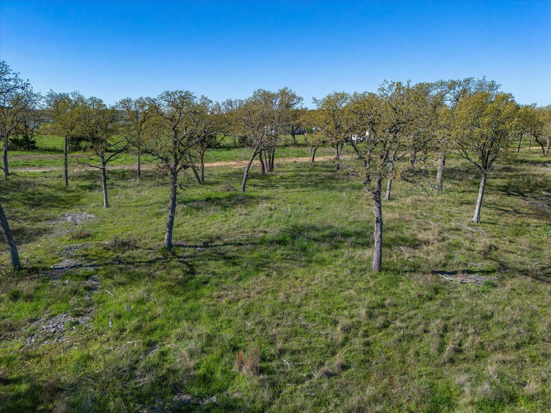 2 acres in Montague County - photo 13