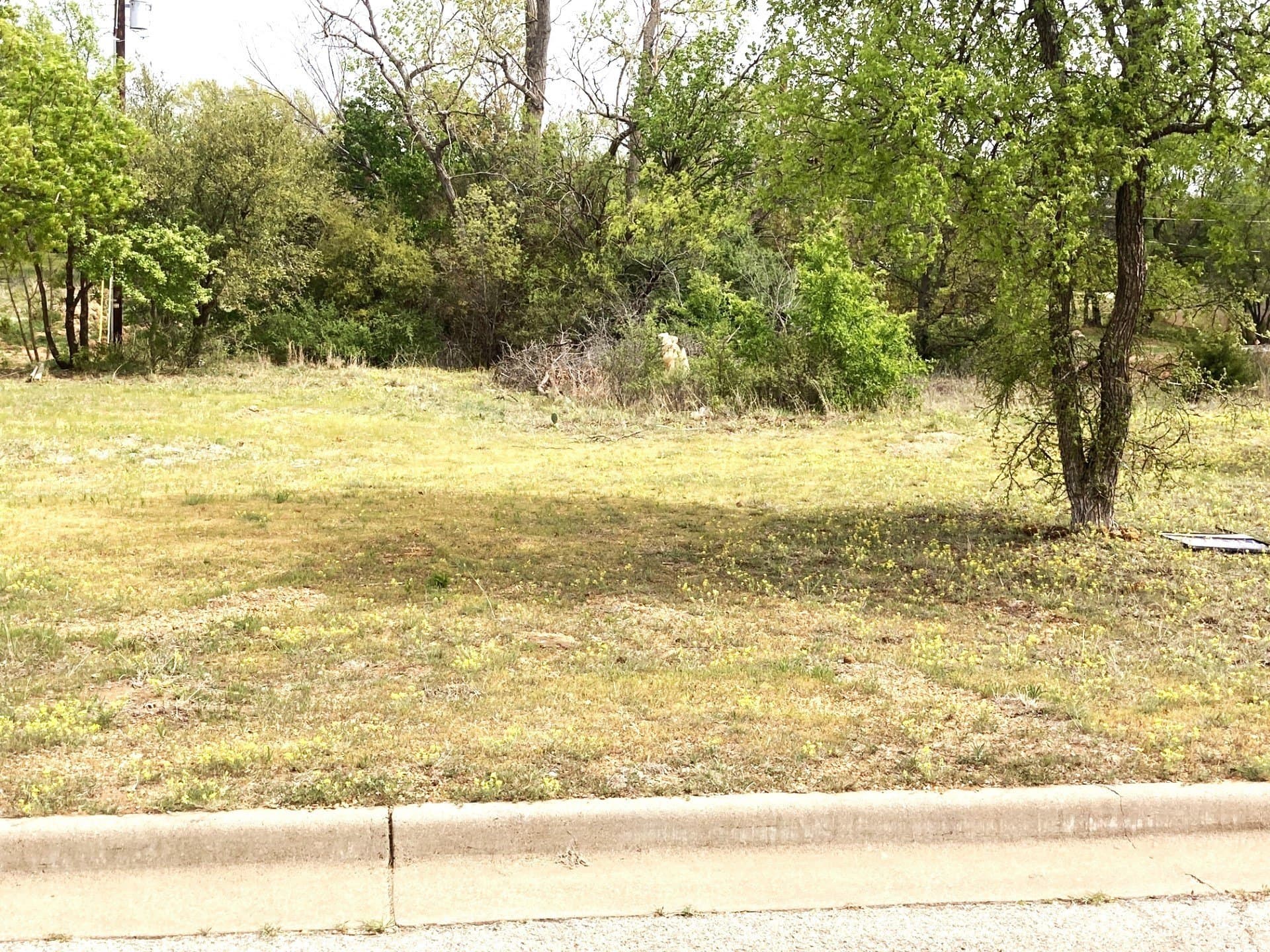 0.25 acres in Young County