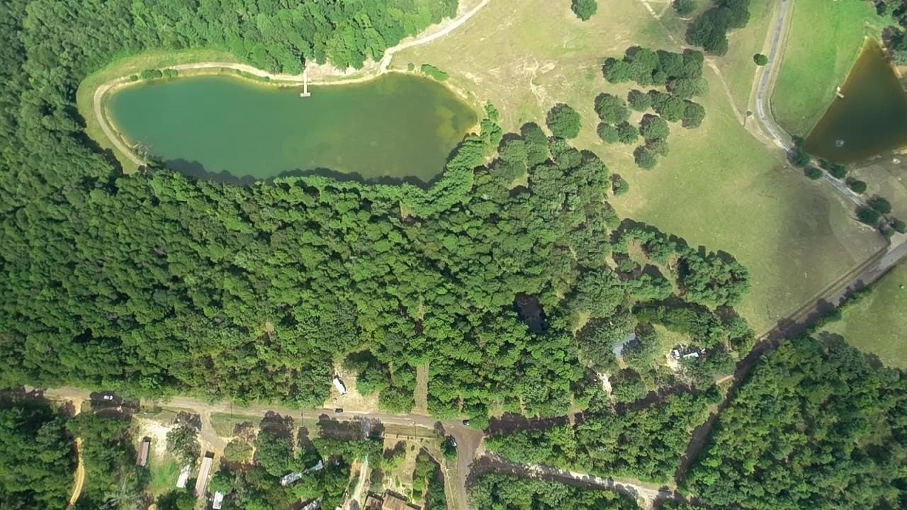 1 acres in Texas County gallery image 3