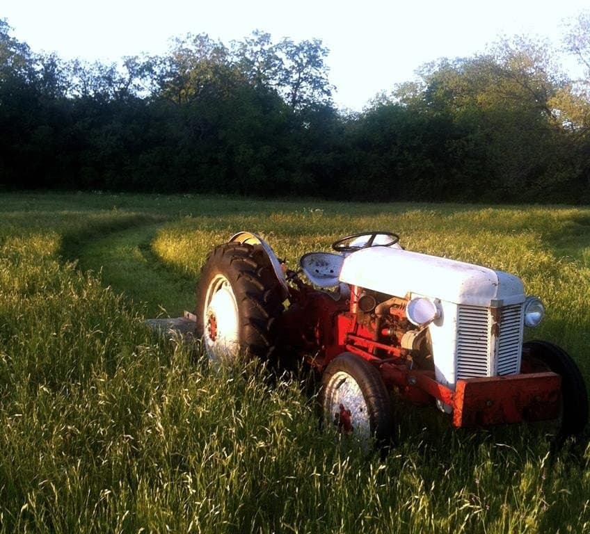 7 acres in Erath County featured view