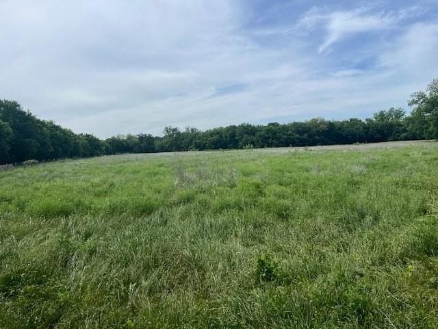 7 acres in Erath County gallery image 2