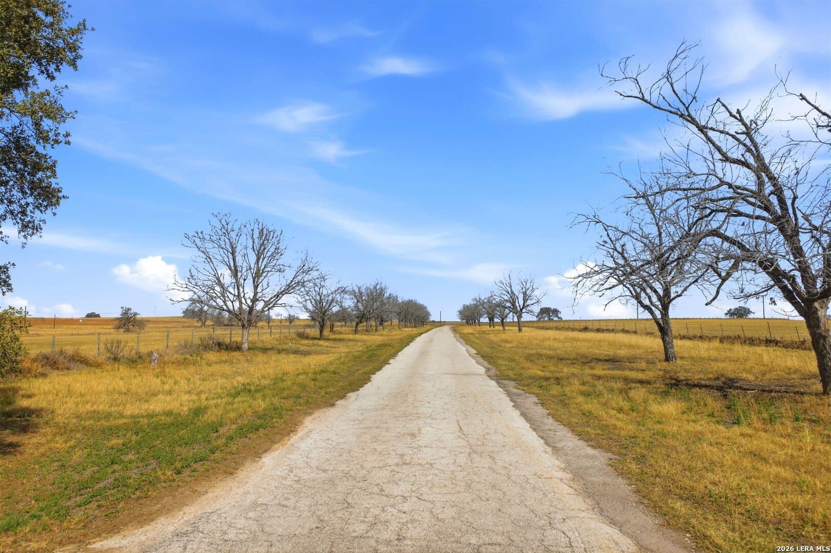 3.36 acres in Atascosa County - photo 3