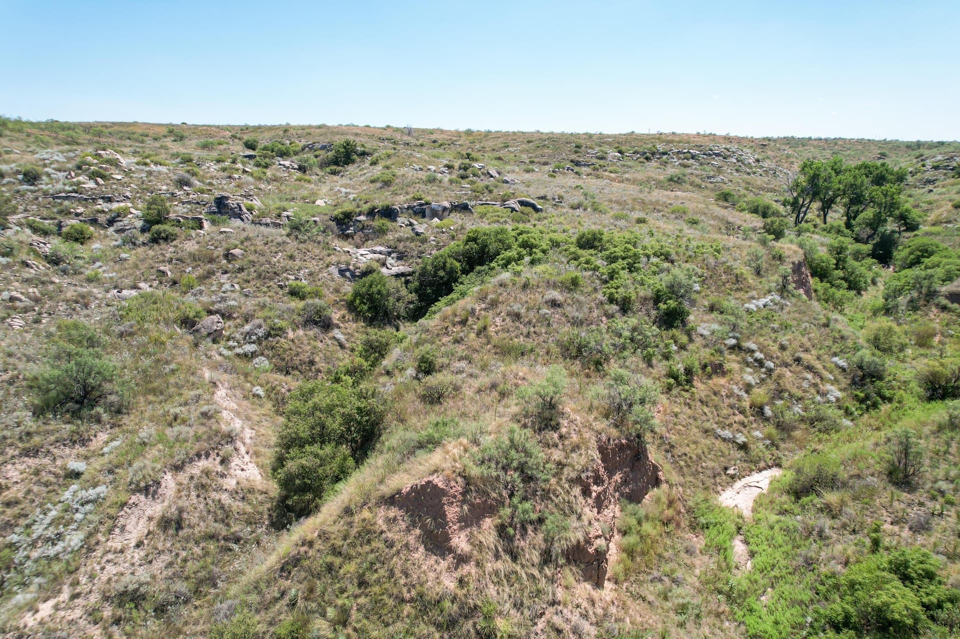 12.13 acres in Potter County - photo 5