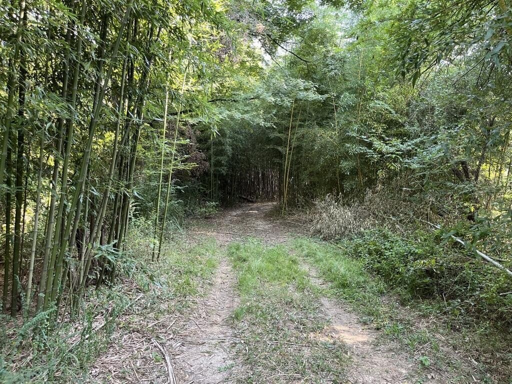 24.6 acres in Texas County - photo 14