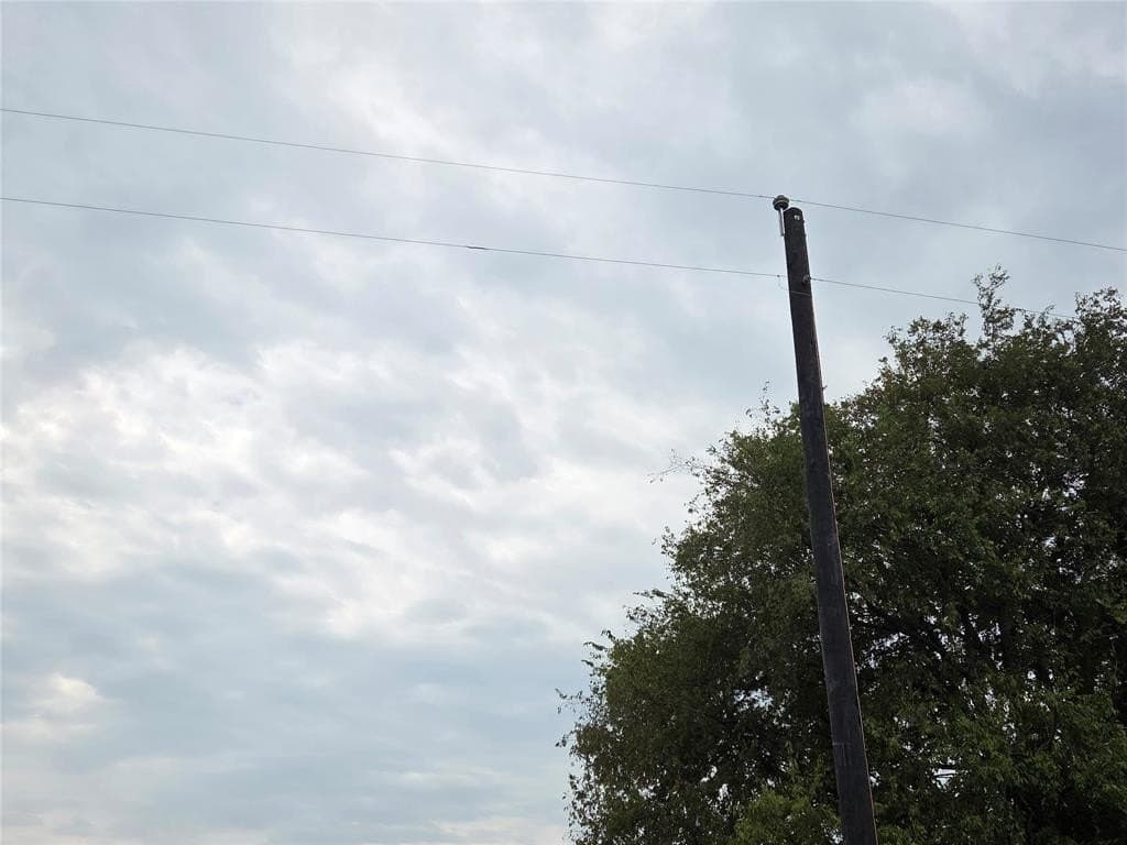 3 acres in Fannin County gallery image 4