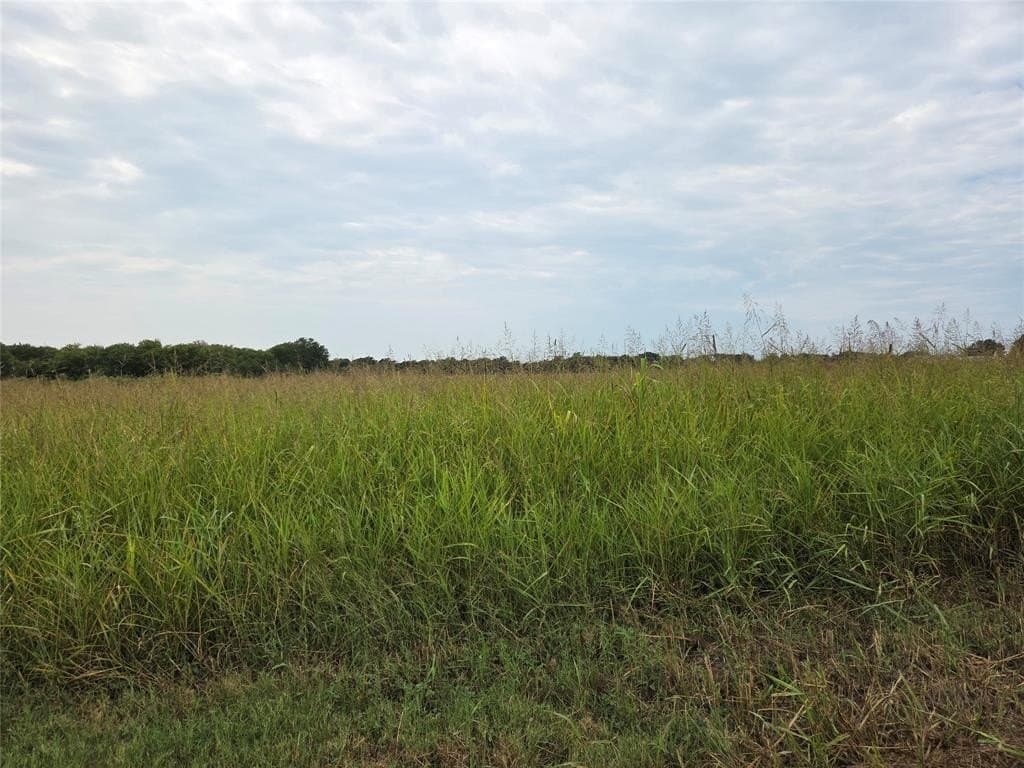 3 acres in Fannin County gallery image 3