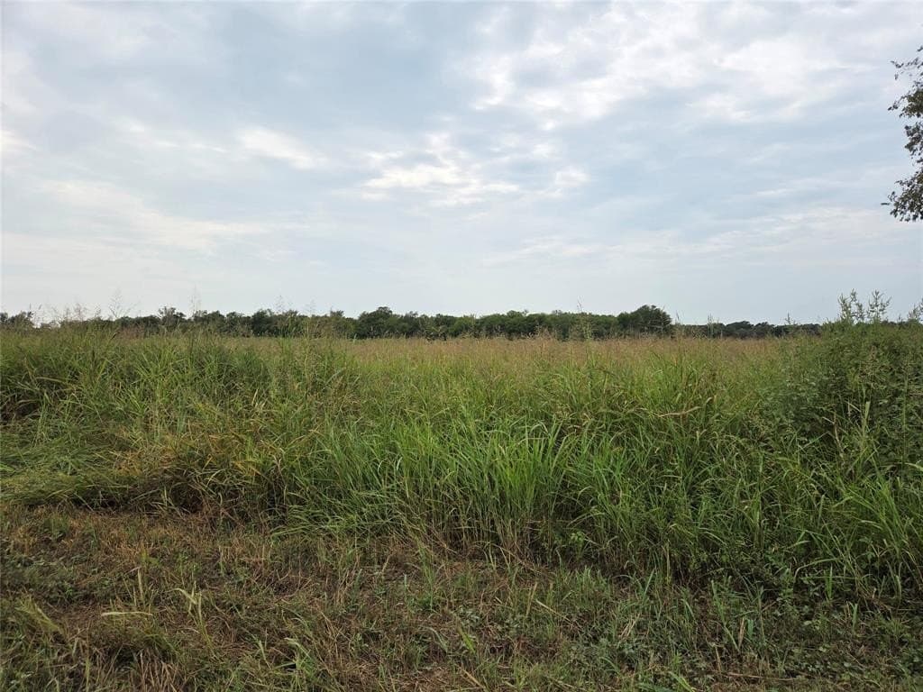 3 acres in Fannin County