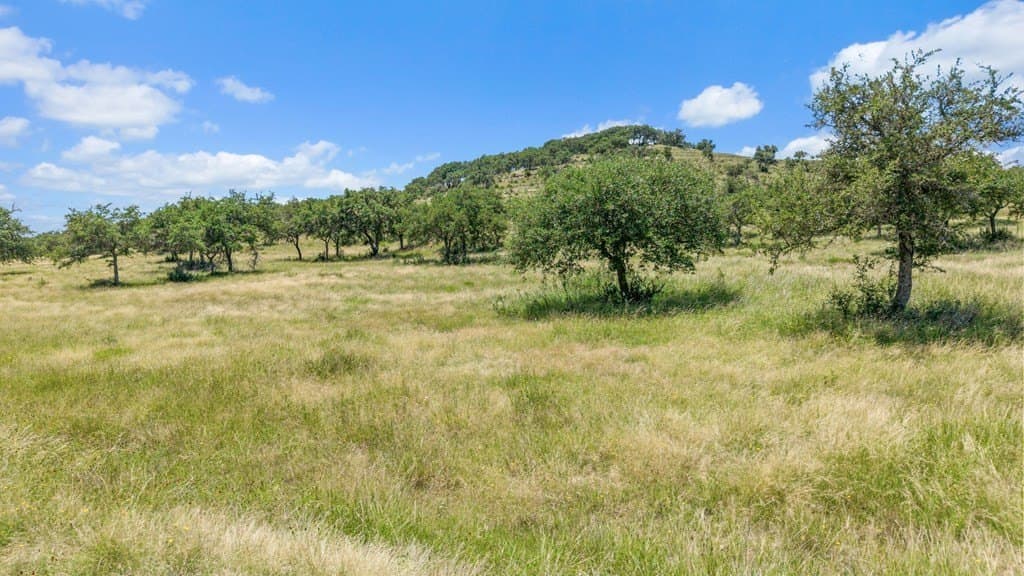 71.47 acres in Blanco County gallery image 3