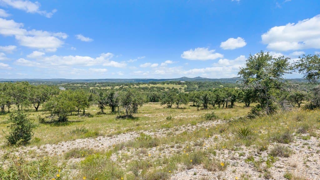 71.47 acres in Blanco County gallery image 4