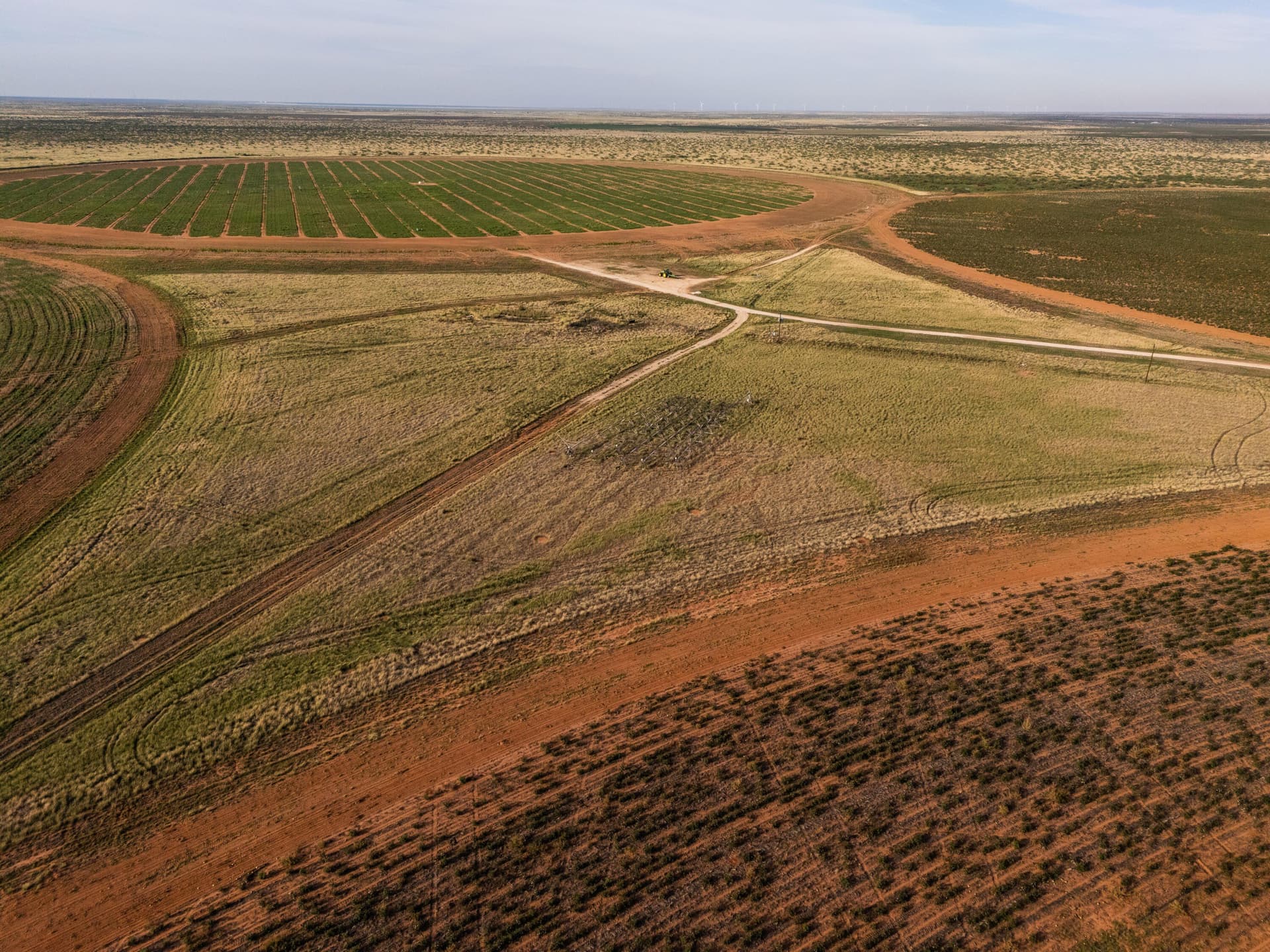 640 acres in Gaines County - photo 4