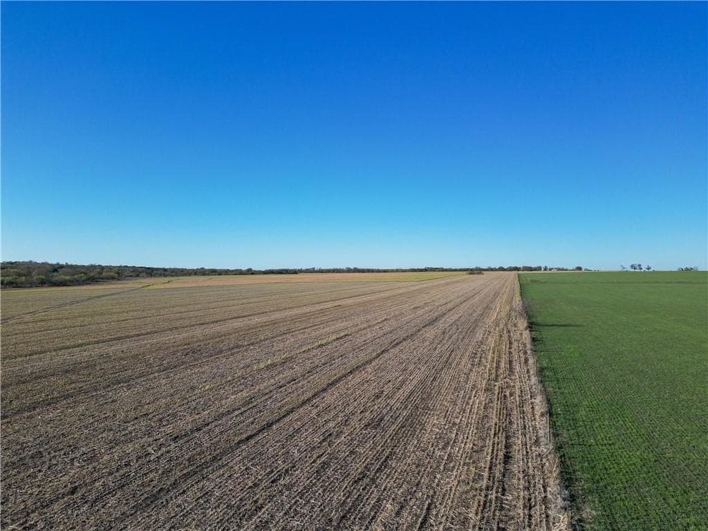 36 acres in McLennan County gallery image 4
