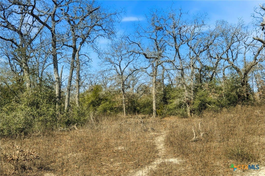 31.42 acres in Milam County - photo 21
