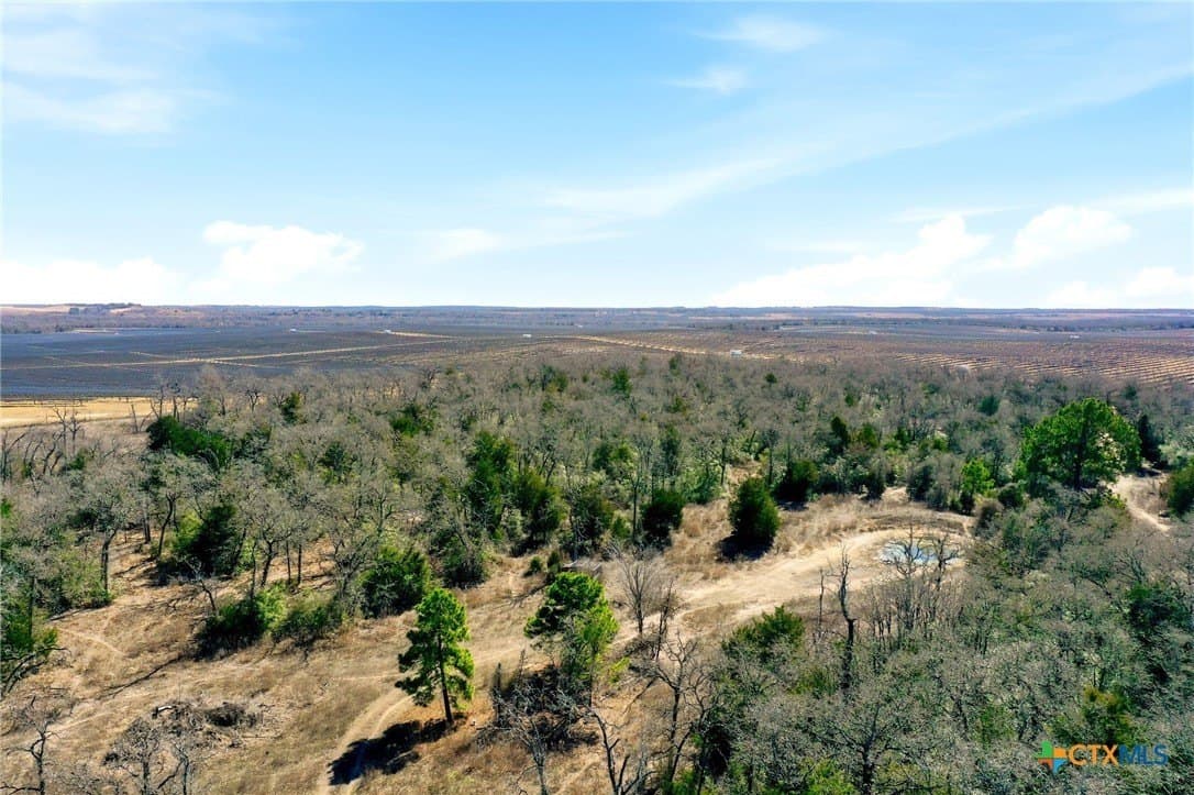 31.42 acres in Milam County - photo 6