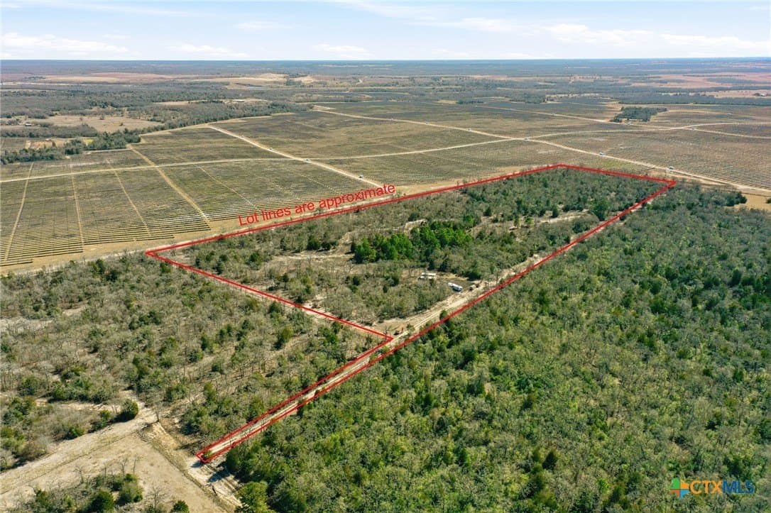 31.42 acres in Milam County gallery image 2