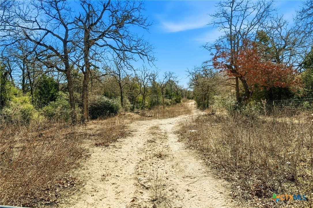 31.42 acres in Milam County - photo 18