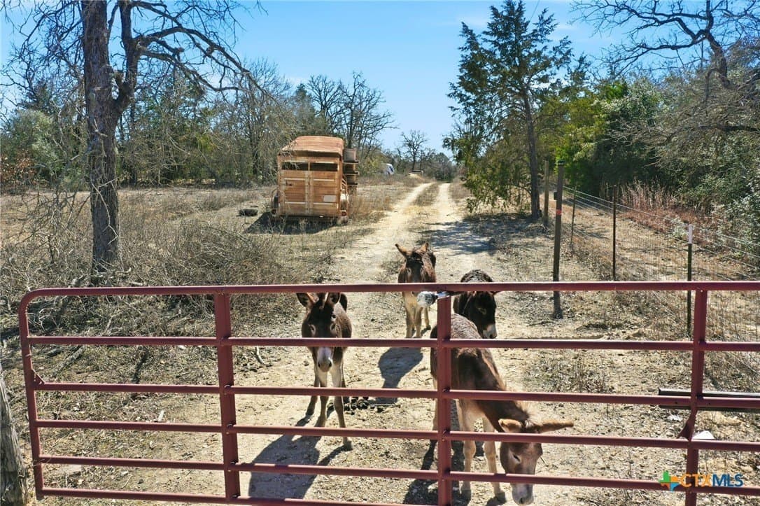31.42 acres in Milam County - photo 8