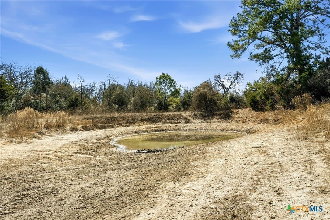 31.42 acres in Milam County - photo 16
