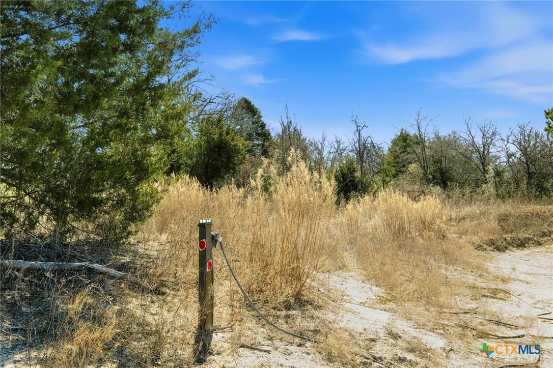 31.42 acres in Milam County - photo 17