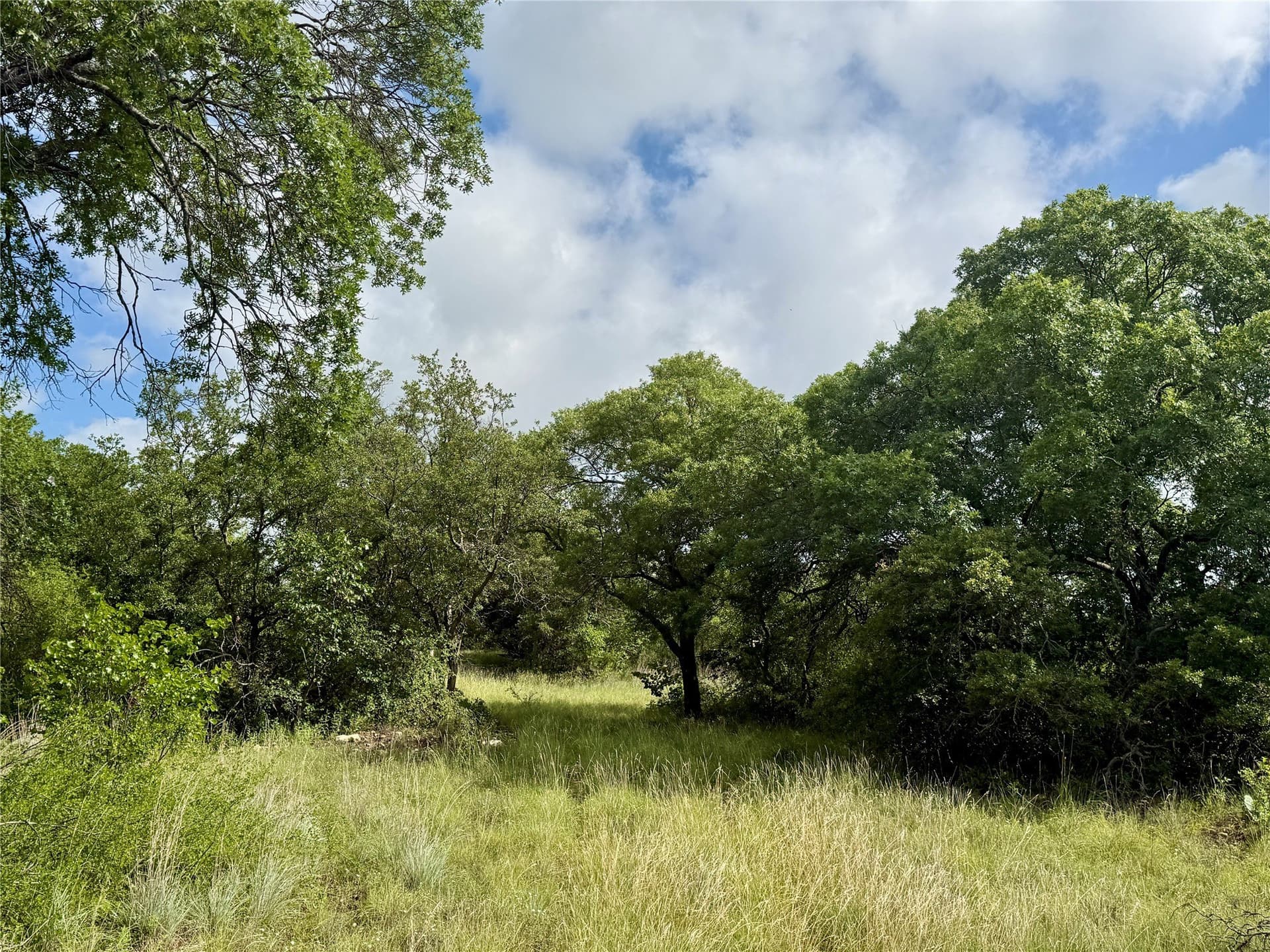 15.48 acres in Coleman County - photo 4