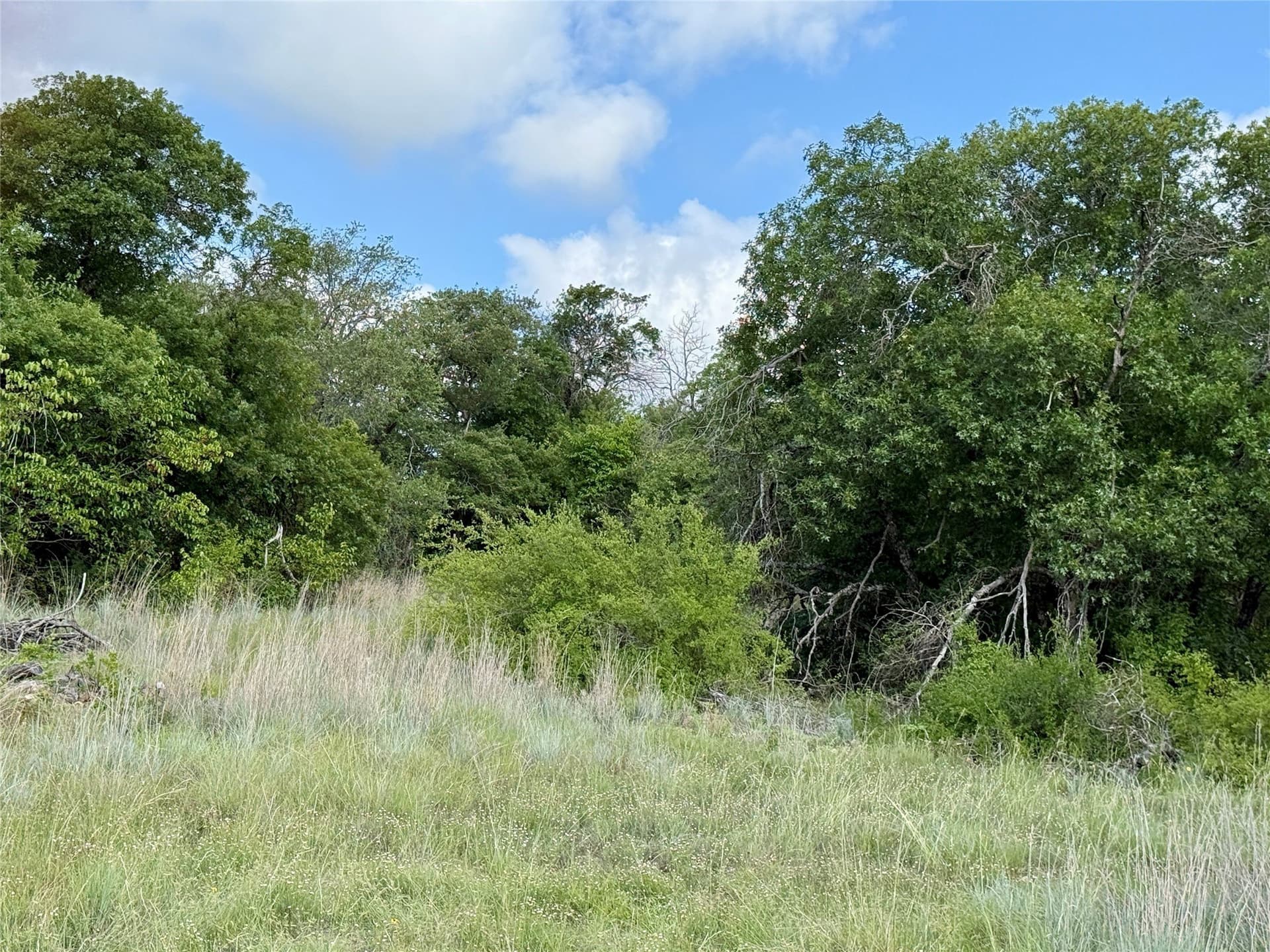 15.48 acres in Coleman County - photo 16