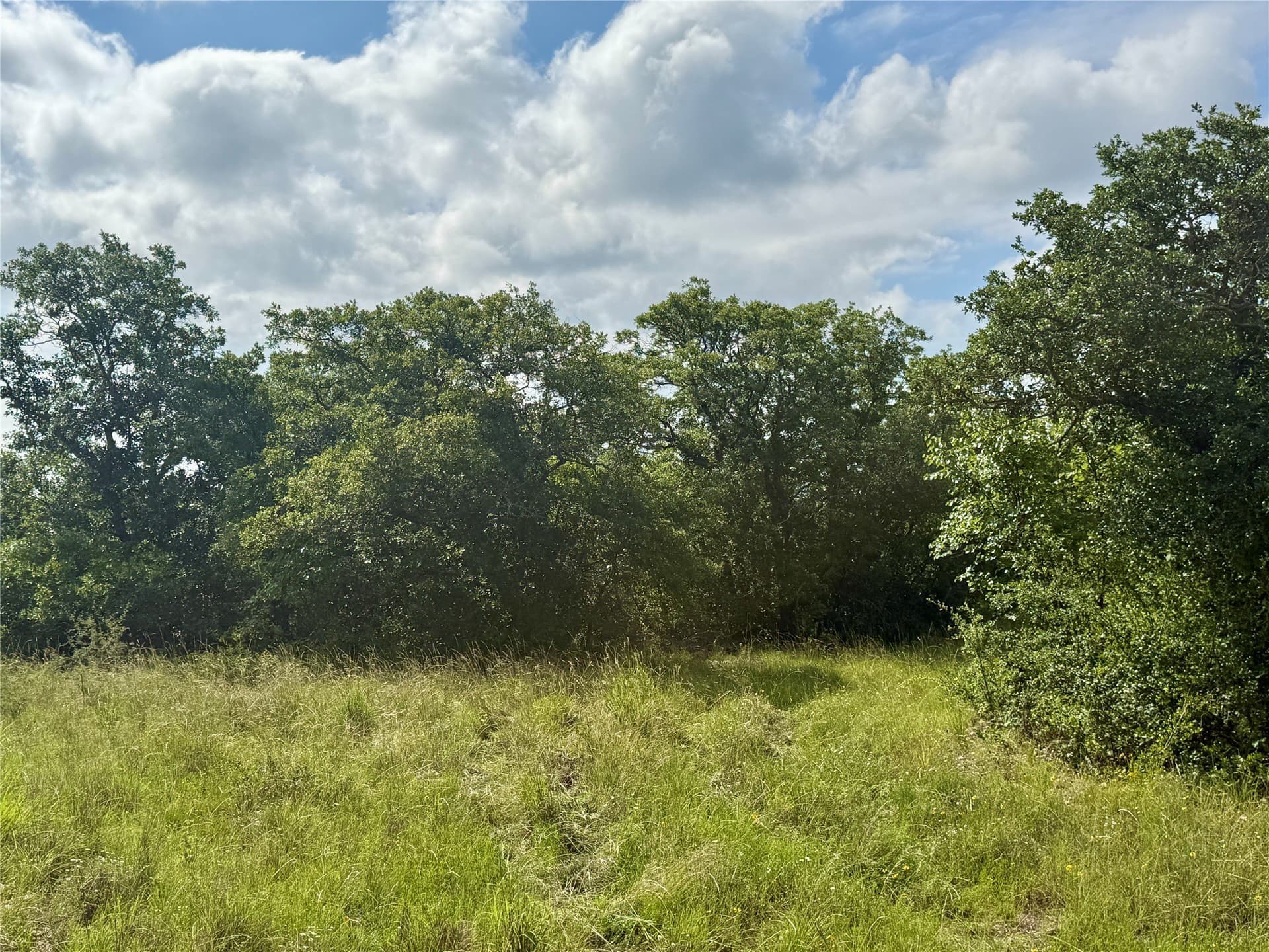 15.48 acres in Coleman County - photo 9