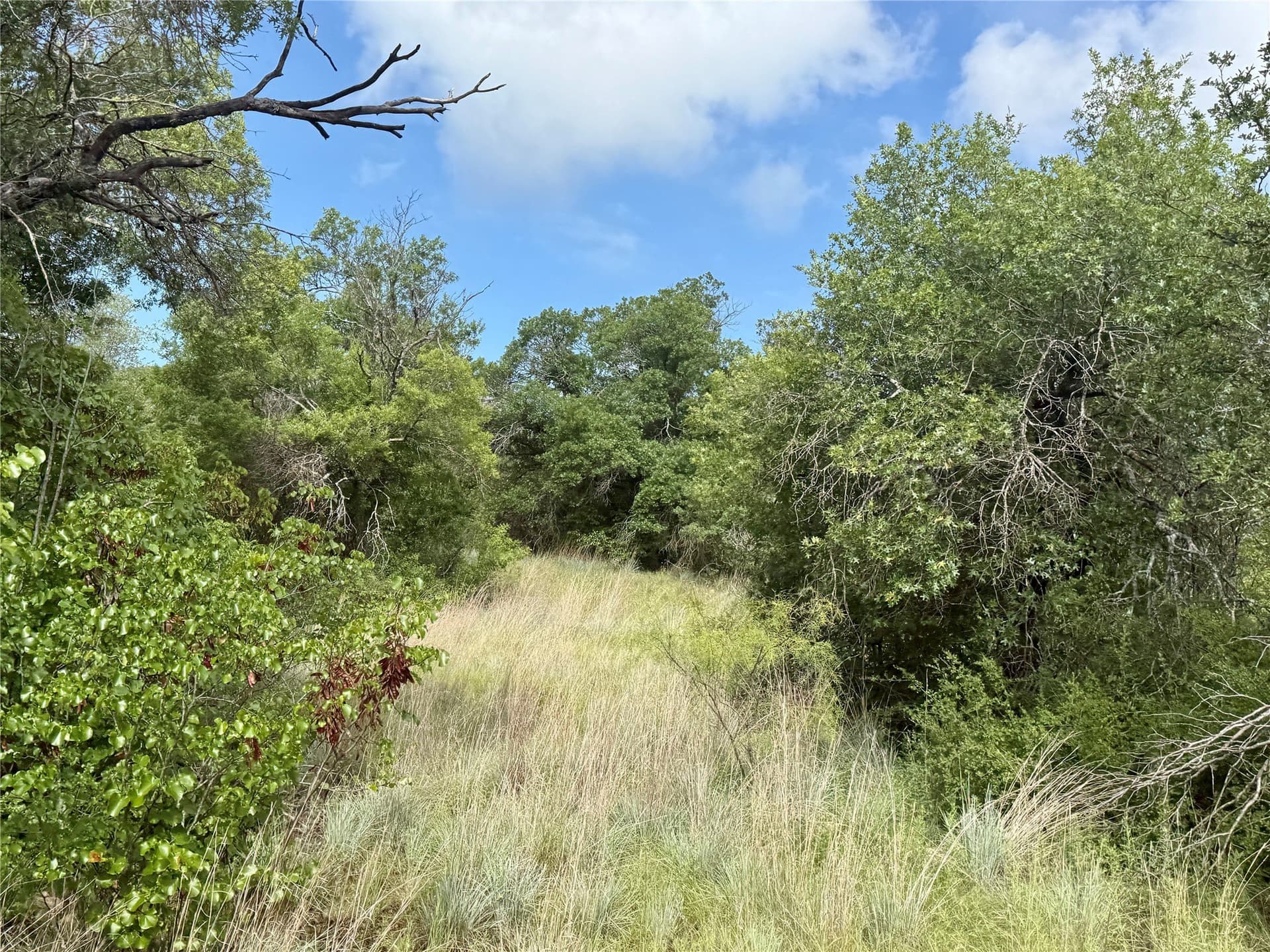 15.48 acres in Coleman County - photo 14