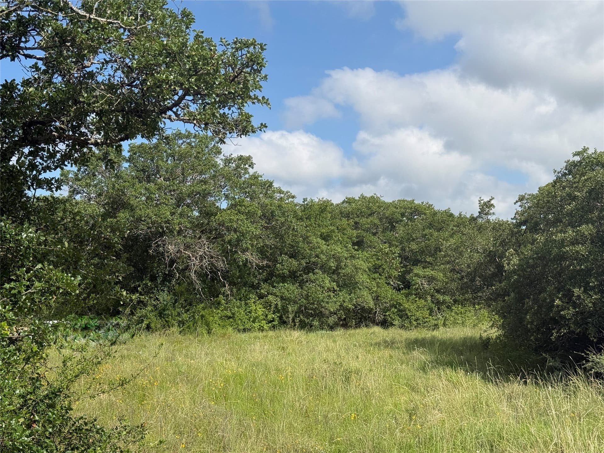 15.48 acres in Coleman County - photo 5
