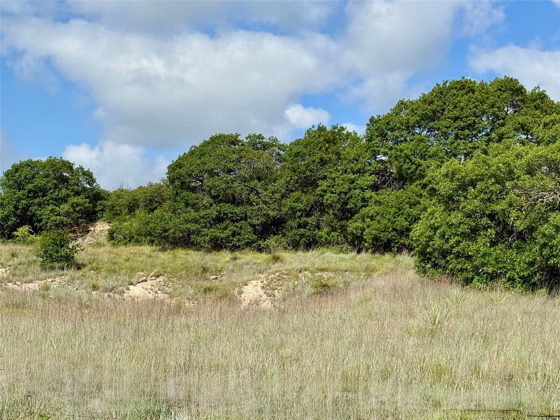 15.48 acres in Coleman County - photo 24