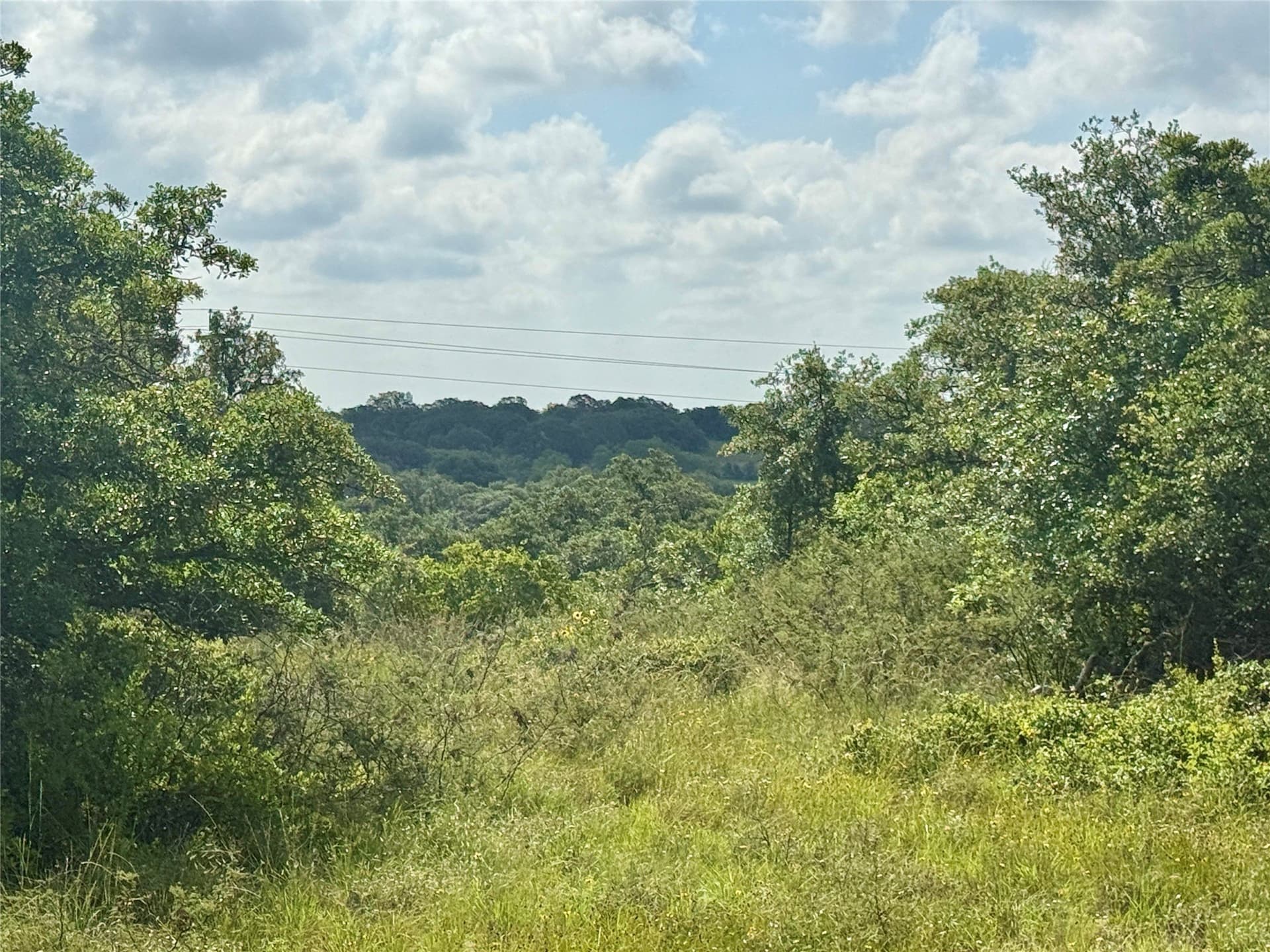 15.48 acres in Coleman County - photo 6