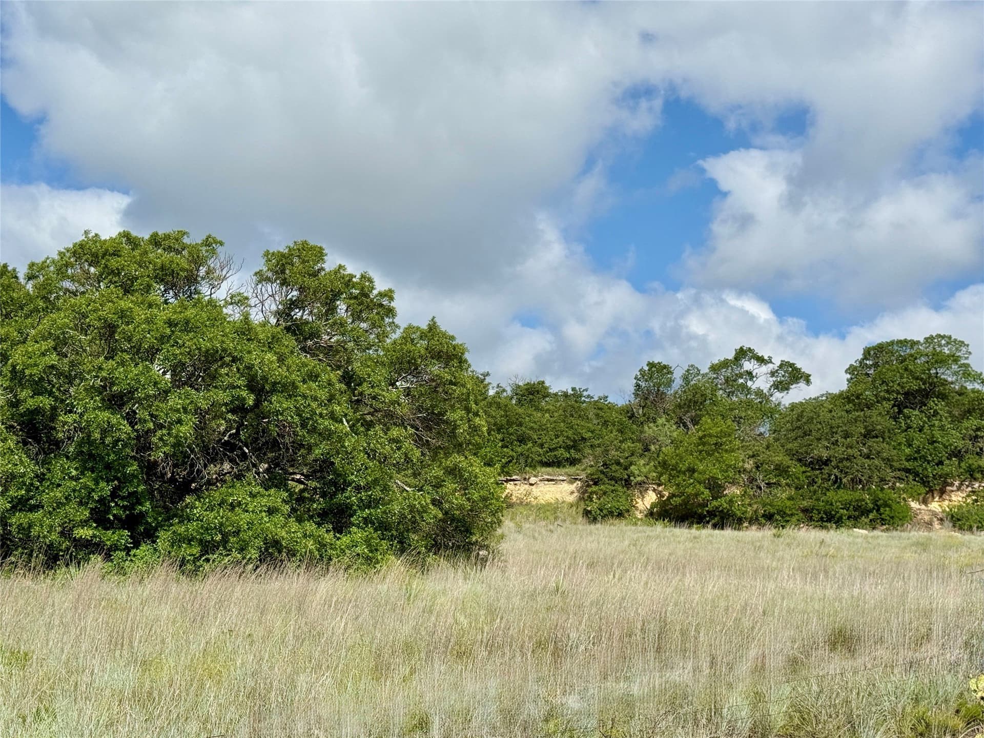15.48 acres in Coleman County - photo 17