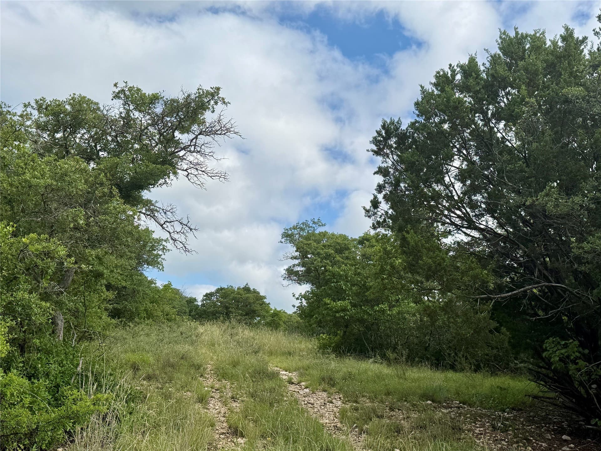15.48 acres in Coleman County - photo 2