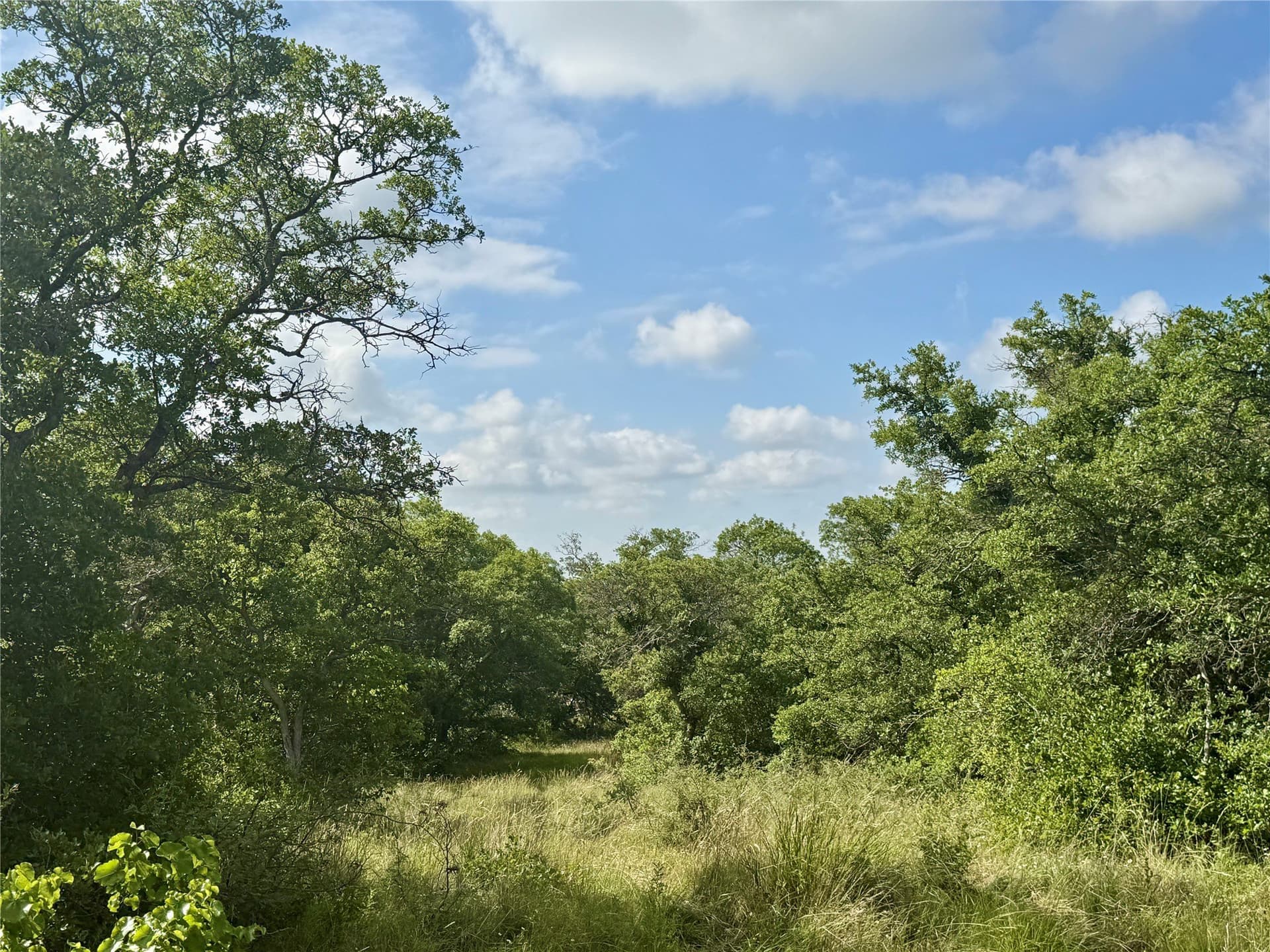 15.48 acres in Coleman County - photo 7