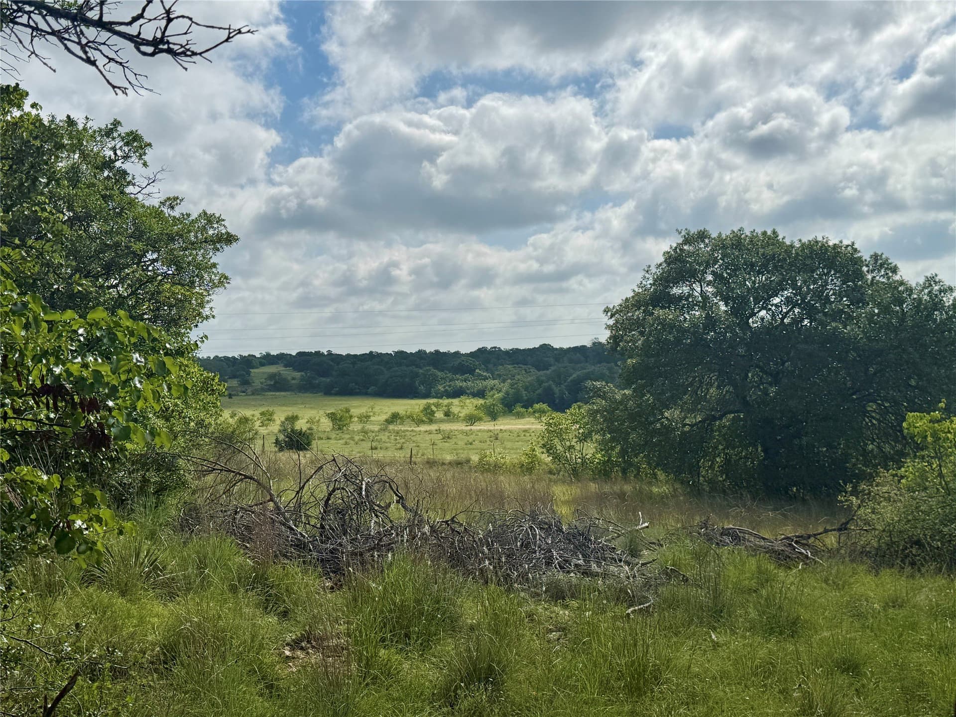 15.48 acres in Coleman County - photo 3