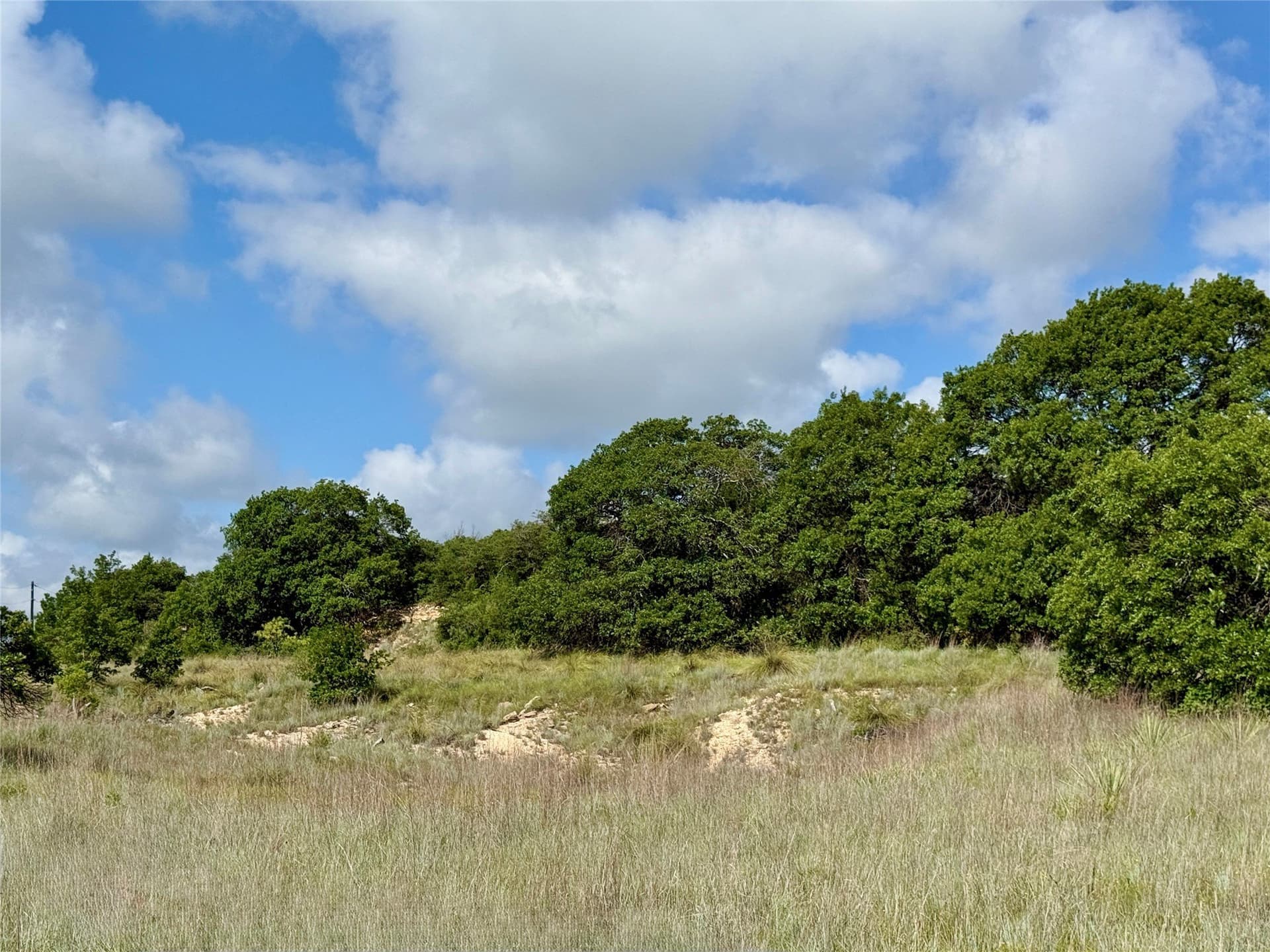 15.48 acres in Coleman County - photo 22