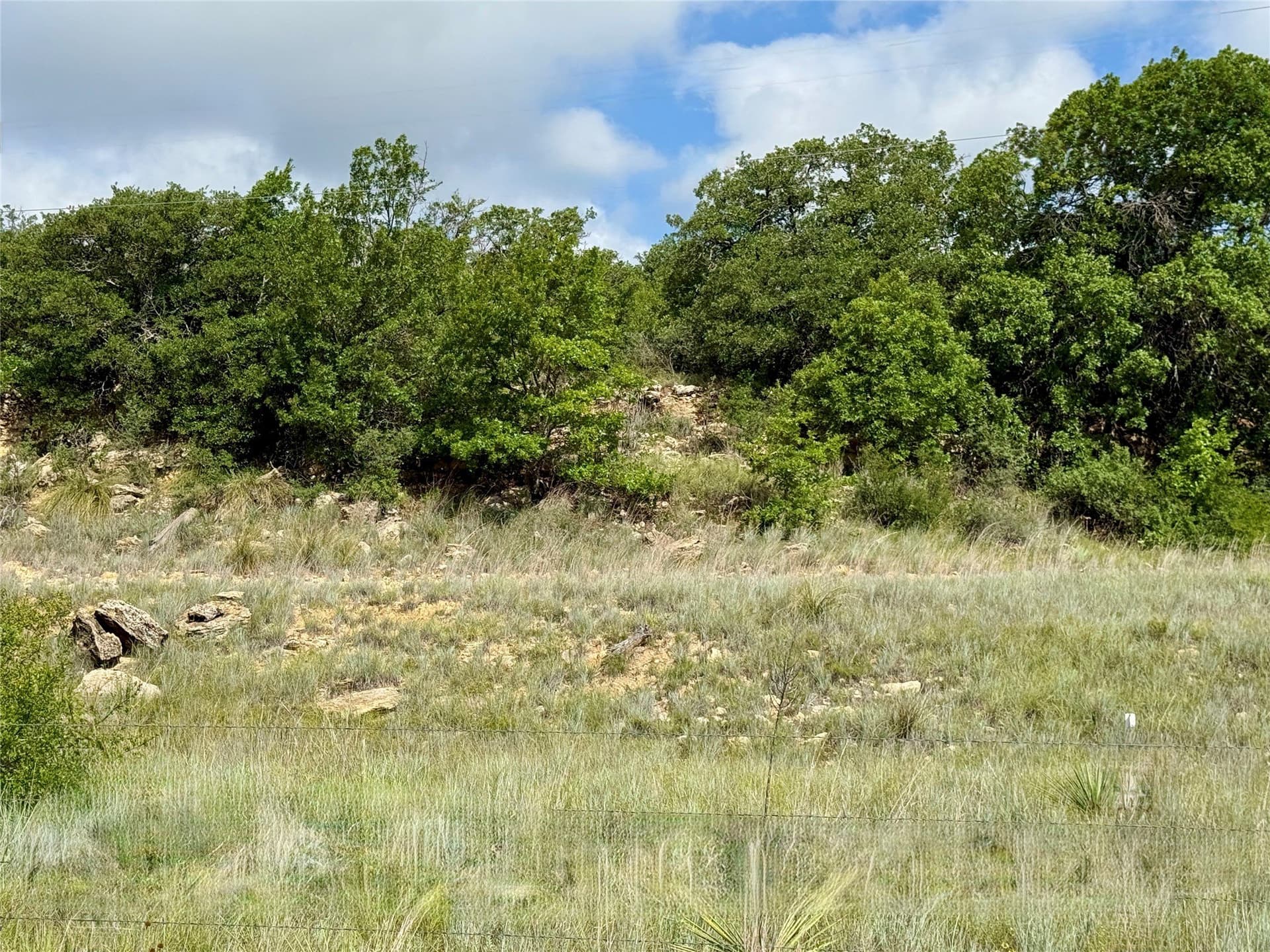 15.48 acres in Coleman County - photo 27