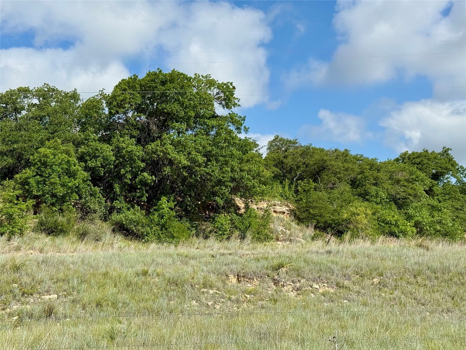 15.48 acres in Coleman County - photo 33