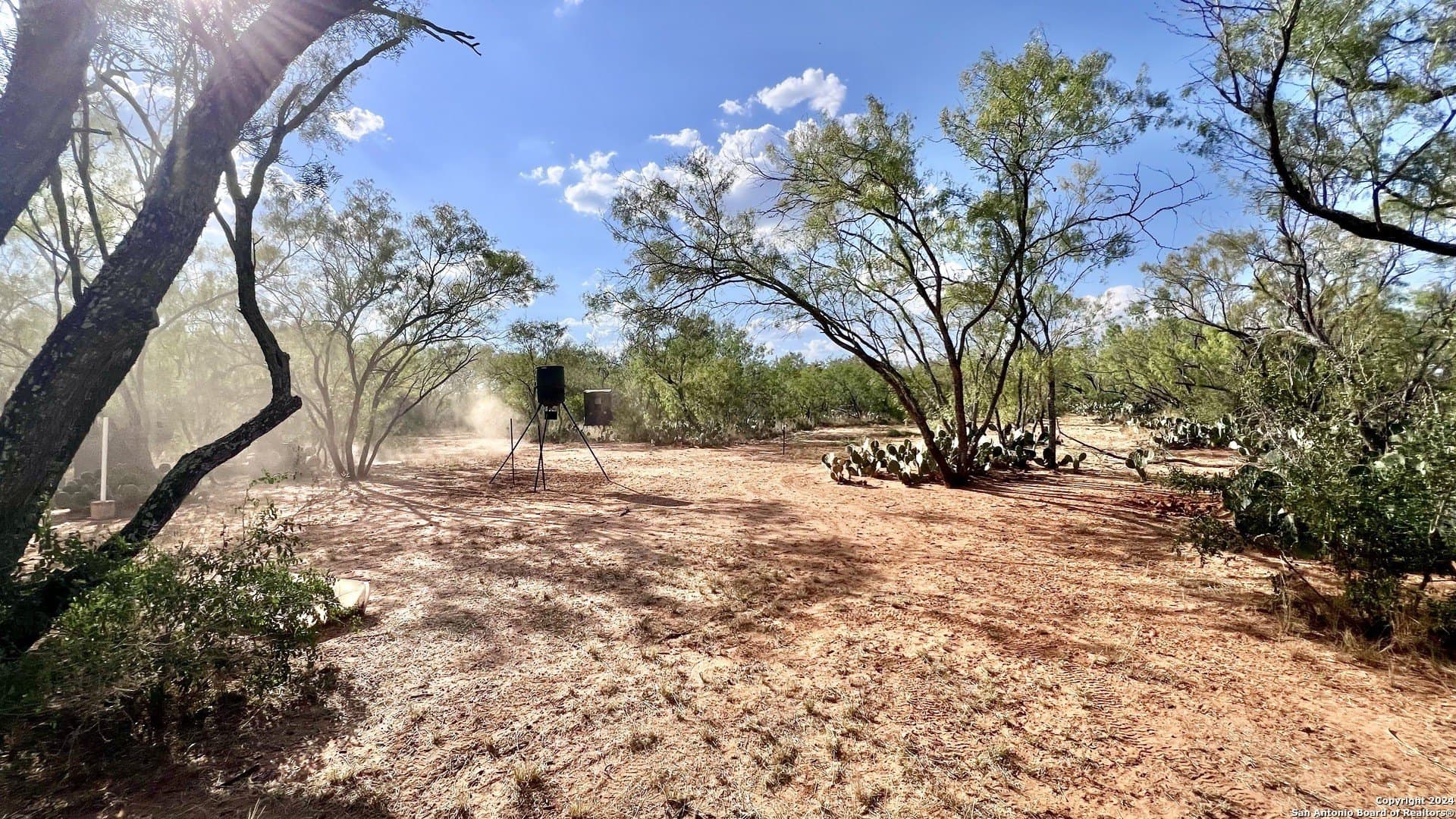 23 acres in Atascosa County gallery image 4
