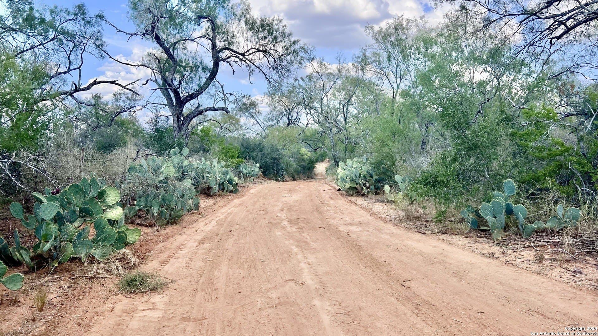 23 acres in Atascosa County