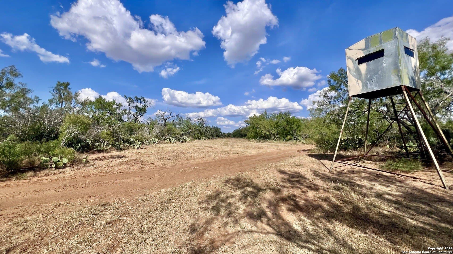 23 acres in Atascosa County gallery image 2