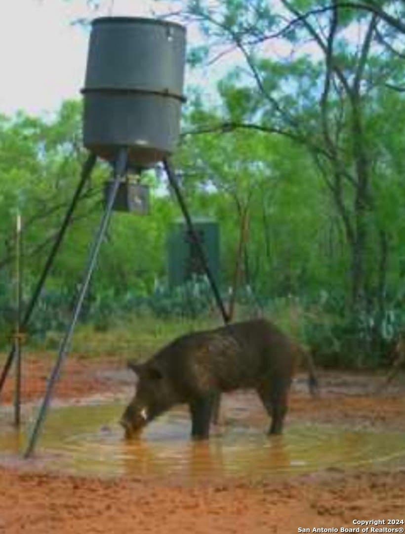 23 acres in Atascosa County featured view